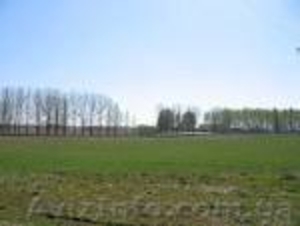 СРОЧНО!!! Продам участок 225сот.  #533165