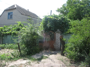 Срочно.Продам дом в с. Корсунка.торг уместен. #545018