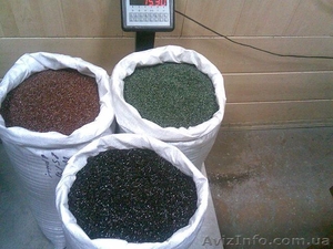 Продам вторичный ПП и ПНД #545318