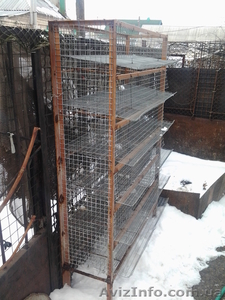 Клетки для перепелов на 150-180 голов #549641