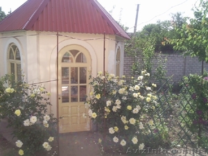 Дом в Чернобаевке #547715