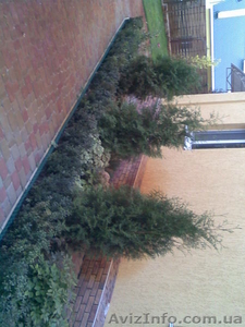 садовник,  ландшафтный дизайн,  озеленение #523724