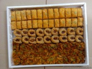 СПД ФЛ Короглу.Х.А. #543703