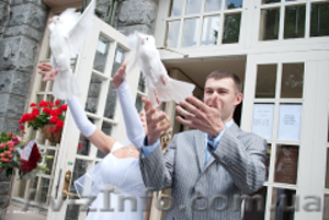 Голуби на свадьбу. #556245