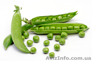 агросвит 061 2120902 #535570