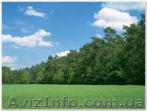 Земля в Киево-Святошинском р-оне #543785