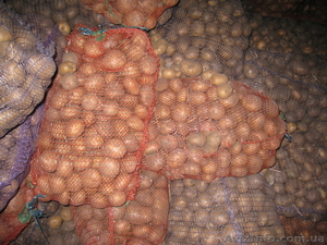 Лузан Сергей Григорьевич #520288