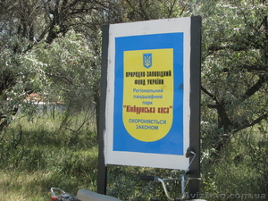 Отдых на Черном море 