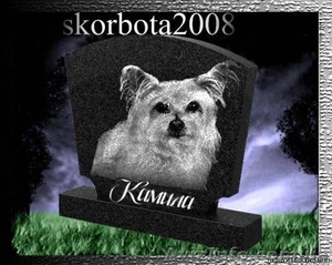 Эвтаназия(усыпление) животных на дому О9З-4О8-О9-З6 #556661