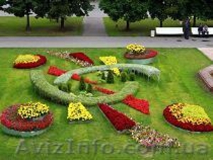 Курсы Ландшафтного дизайна. Скидки до 20%. Звоните! т. 795-88-16;   722-61-16;  09 #550834