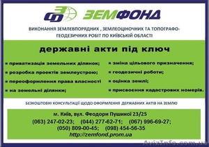 Оценка земли по Киеву и области – Земфонд   #542940