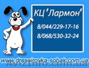 Дрессировка собак с заботой и любовью Киев тел.: (068)53-03-224,  (044)229-17-16 #9999