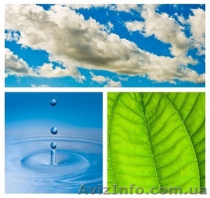 Семинар на тему «Очистись и живи без паразитов» #555560