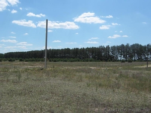 осыково под застройку #536672