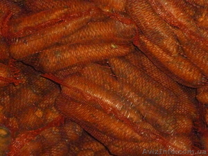 Продаём свеклу, капусту, морковь #547551