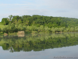 продам живописный ставок #550098
