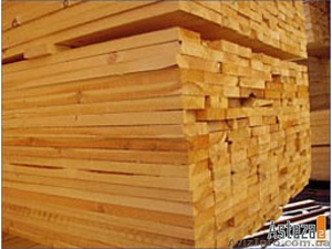 Лес в ассортименте  в Симферополе #553276