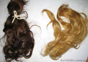 Волосы натуральные в Киеве #549718