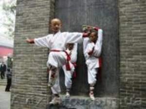 Кунг фу для детей Киев. Обучение Кунг фу в Киеве #572317