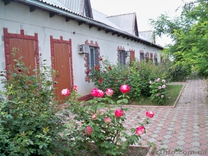 Отдых у Черного моря #588676