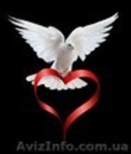 Свадебные традиции #408760