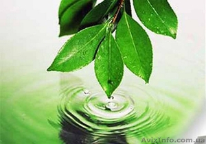 Разработка экологической документации #530836