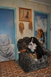 Продам 4-х комнатную квартиру по ул. Гайдара / пер. Вишневского. #589355