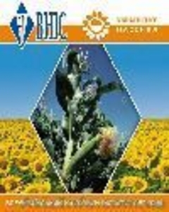 Семена подсолнечника(посевмат) #2530