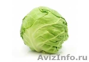 Продаю капусту белокочанную #571529