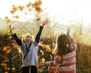 Дачный уч-к на Космосе #604205