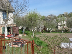 Продам дачу в Рівне (Городище) #564182