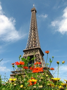 **ФРАНЦУЗСКИЙ ЯЗЫК ДЛЯ ВЗРОСЛЫХ И ДЕТЕЙ ** #600575