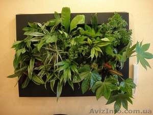 вертикальное озеленение интерьера 