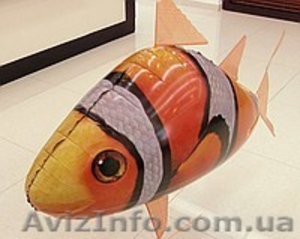 Комнатная летающая рыба #568229