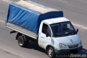 foxfox3030@gmail.com #568106