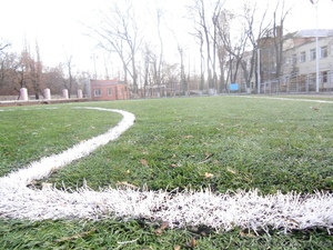 Поле для мини-футбола с искусственным покрытием #574126