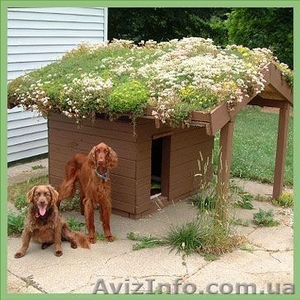 ландшафтный дизайн от Патоля : зеленые  крыши и газоны  #568158