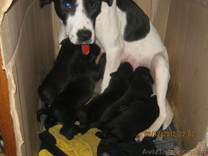 Виктор 0501779493 #563639