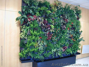 ландшафтный дизайн от Патоля : фитостены и вертикальное озеленение #568151