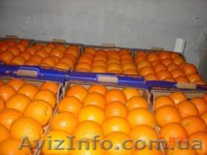 Продажа фруктов из Греции . прямые поставки;  1-й сорт .  #600245