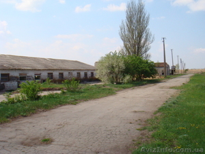 Продажа фермы 551м2 #595467