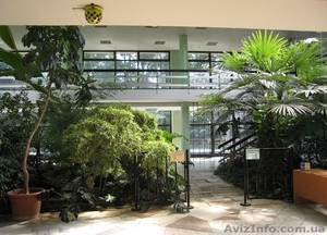 Ландшафтный дизайн от Патоля : зимние сады #568163