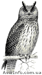 ЧАСТНОЕ ПРЕДПРИЯТИЕ  ЮРФИН #602586