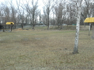 Турбаза Тополь возле с Келеберда #577278