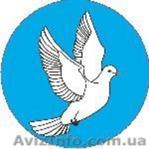 Газобаллонное оборудование оборудование для авто #580376