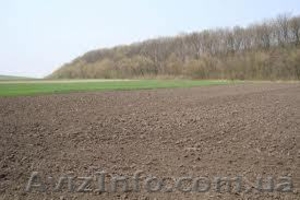 Продам земельный пай ,  участок под Киевом . #571936