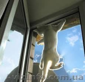 Москитные сетки для окон #598524