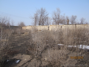 Заборные плиты плоские #587474