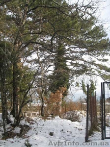 Продается участок 12, 45 соток в Ялте, пос.Горное #593501