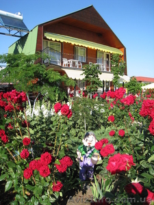 отдыхайка-лучший отдых в Феодосии #600483